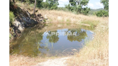 Terreno para Venda em Sarzedas