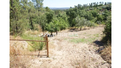 Terreno para Venda em Sarzedas