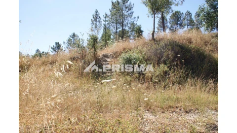 Terreno para Venda em Sarzedas