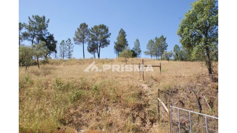 Terreno para Venda em Sarzedas