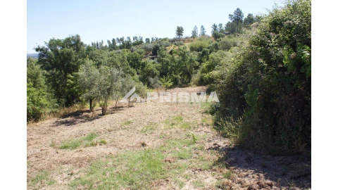 Terreno para Venda em Sarzedas