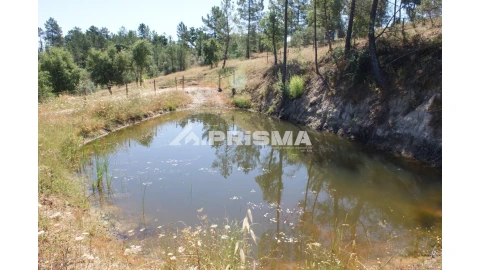 Terreno para Venda em Sarzedas