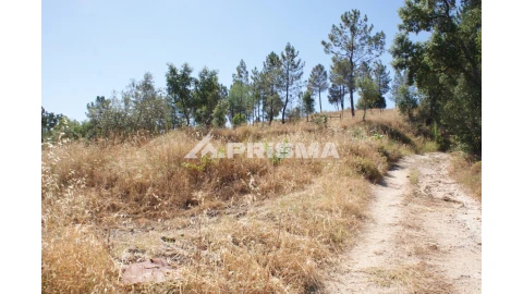 Terreno para Venda em Sarzedas