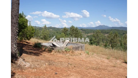Terreno para Venda em Sarzedas