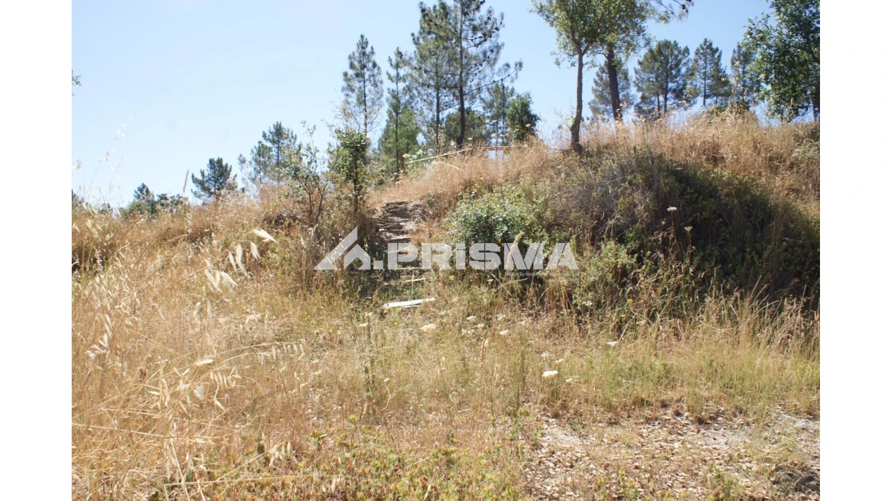 Terreno para Venda em Sarzedas Foto 29