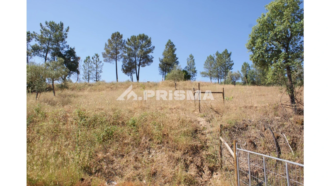 Terreno para Venda em Sarzedas Foto 8