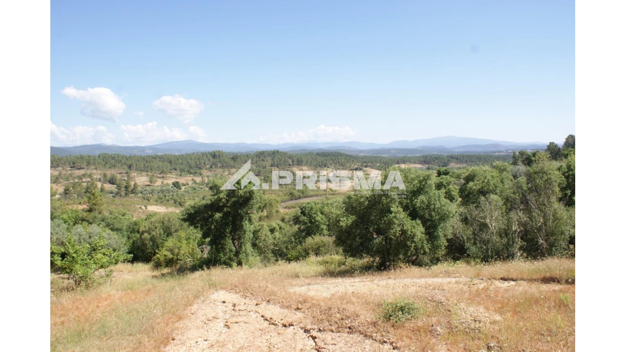 Terreno para Venda em Sarzedas Foto 4