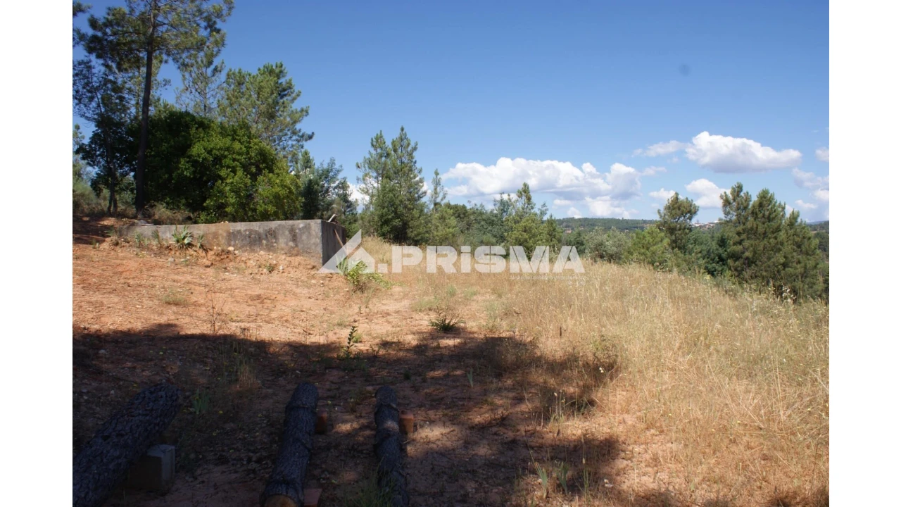 Terreno para Venda em Sarzedas Foto 17