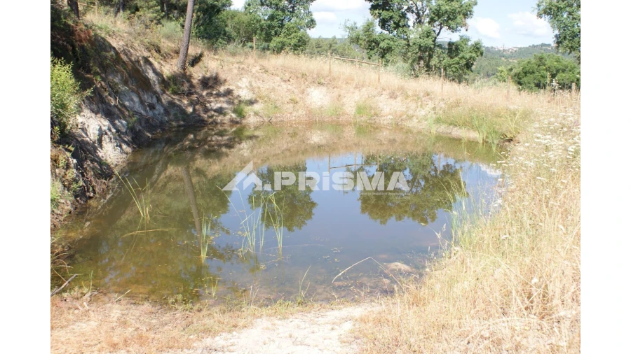 Terreno para Venda em Sarzedas Foto 7