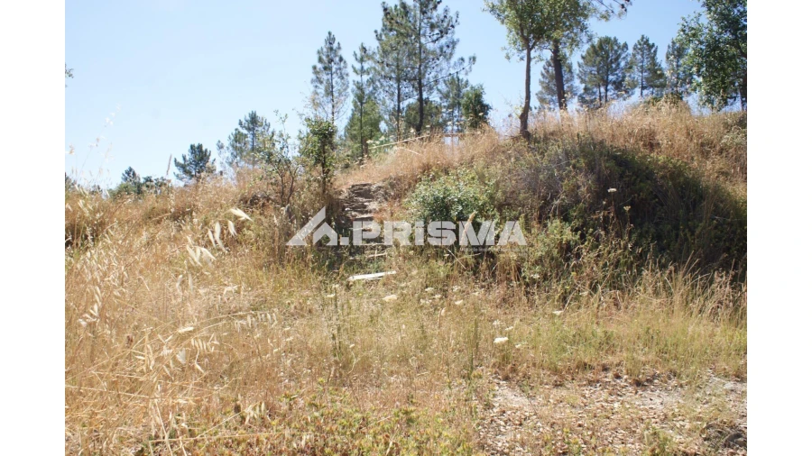 Terreno para Venda em Sarzedas Foto 29