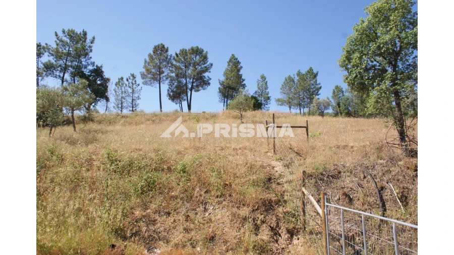 Terreno para Venda em Sarzedas Foto 8