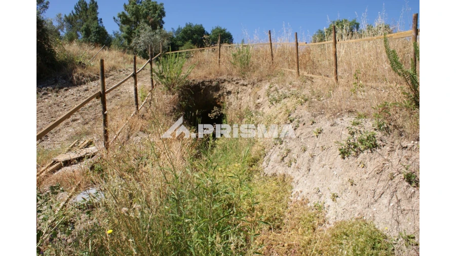 Terreno para Venda em Sarzedas Foto 24
