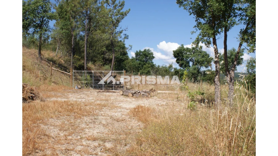 Terreno para Venda em Sarzedas Foto 6