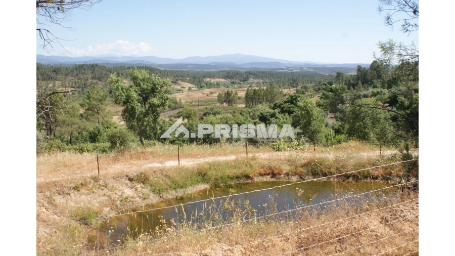 Terreno para Venda em Sarzedas