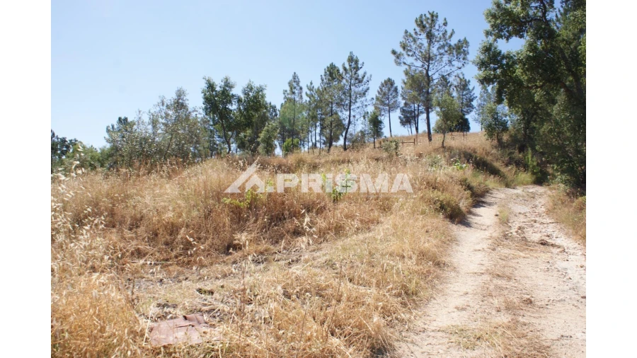 Terreno para Venda em Sarzedas Foto 28