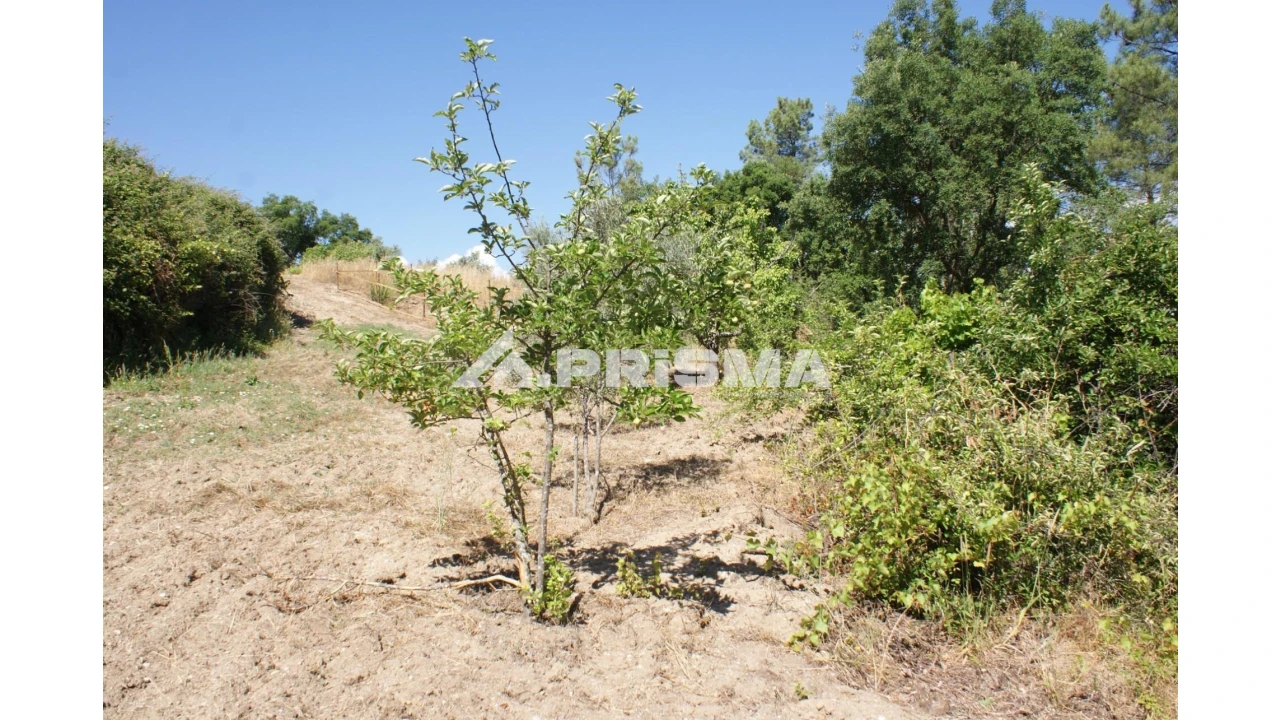 Terreno para Venda em Sarzedas Foto 27