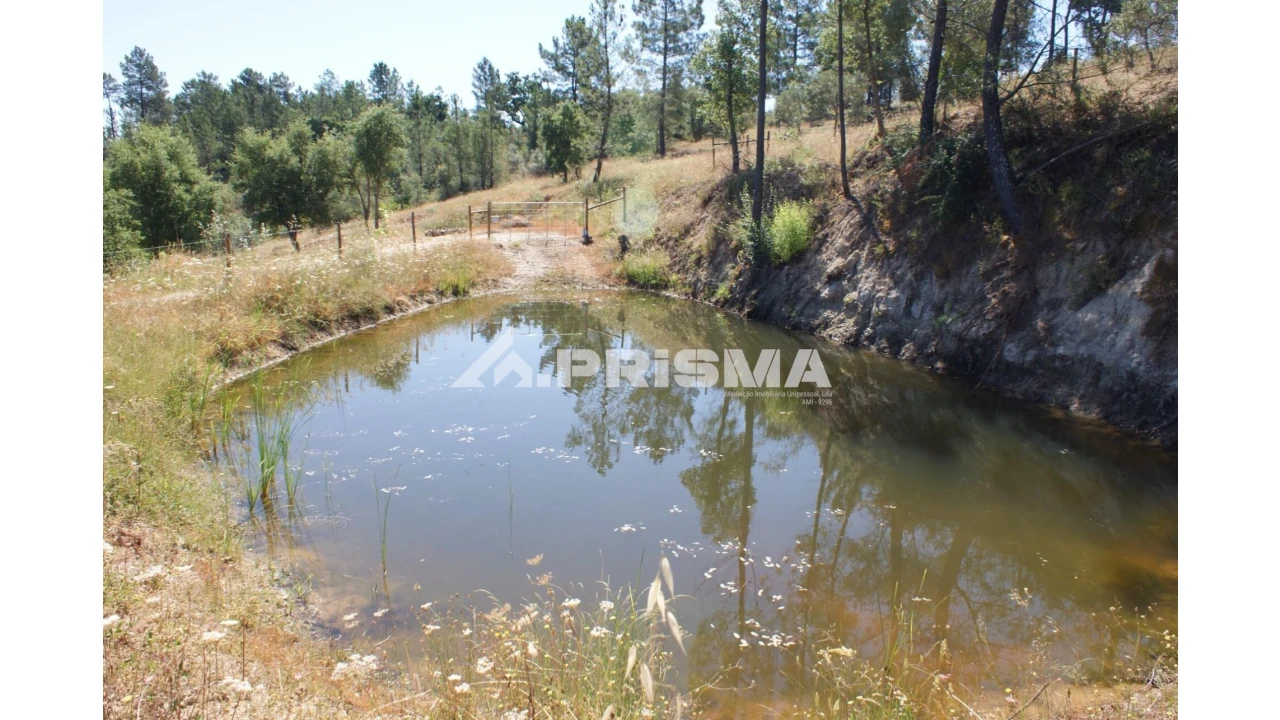 Terreno para Venda em Sarzedas Foto 10