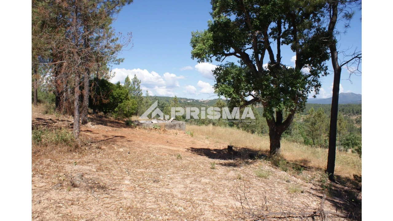 Terreno para Venda em Sarzedas Foto 18