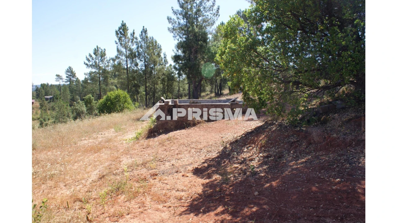 Terreno para Venda em Sarzedas Foto 14