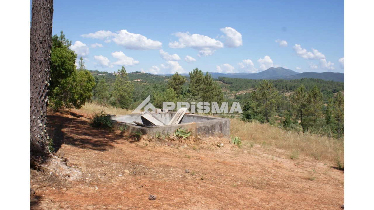 Terreno para Venda em Sarzedas Foto 15
