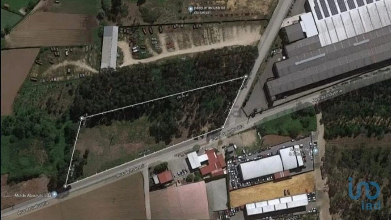 Terreno para Venda em Loureiro Foto 4