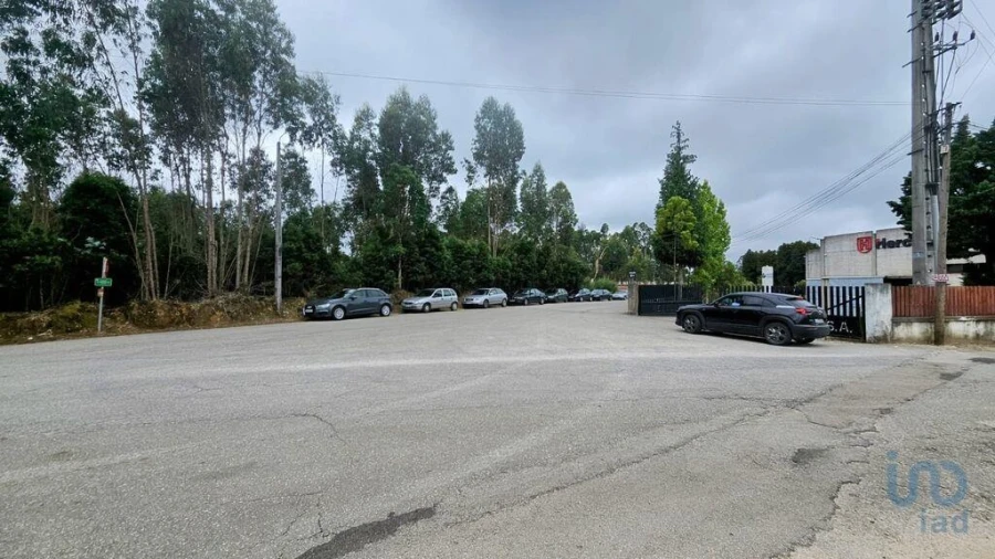 Terreno para Venda em Loureiro Foto 3