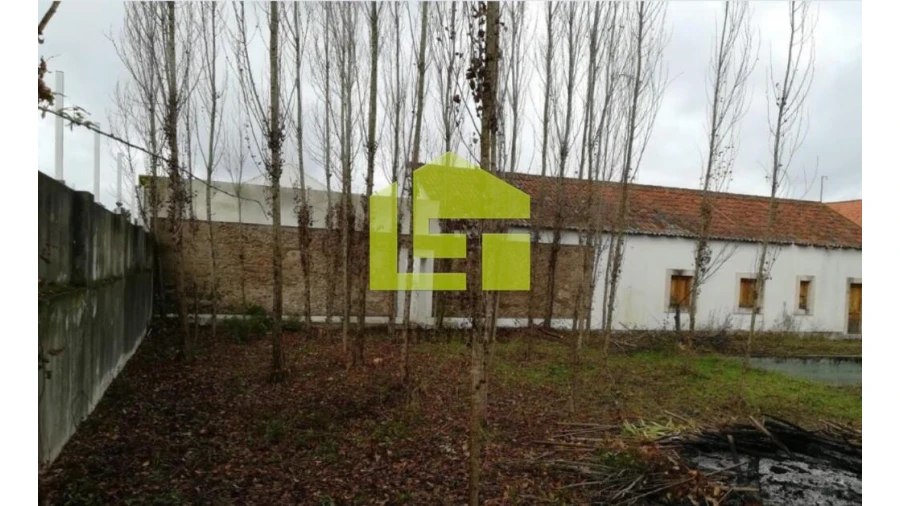 Moradia T5 para Venda em Santa Margarida da Coutada Foto 11