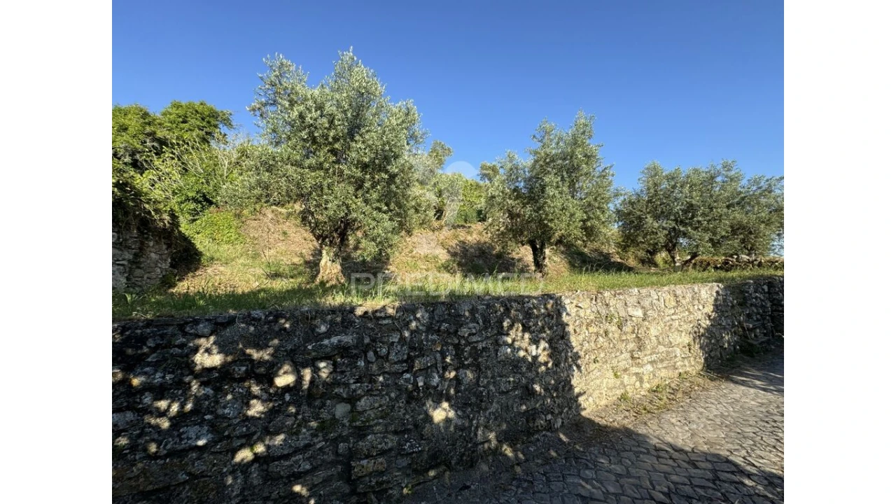 Terreno para Venda em Nossa Senhora das Misericordias Foto 4