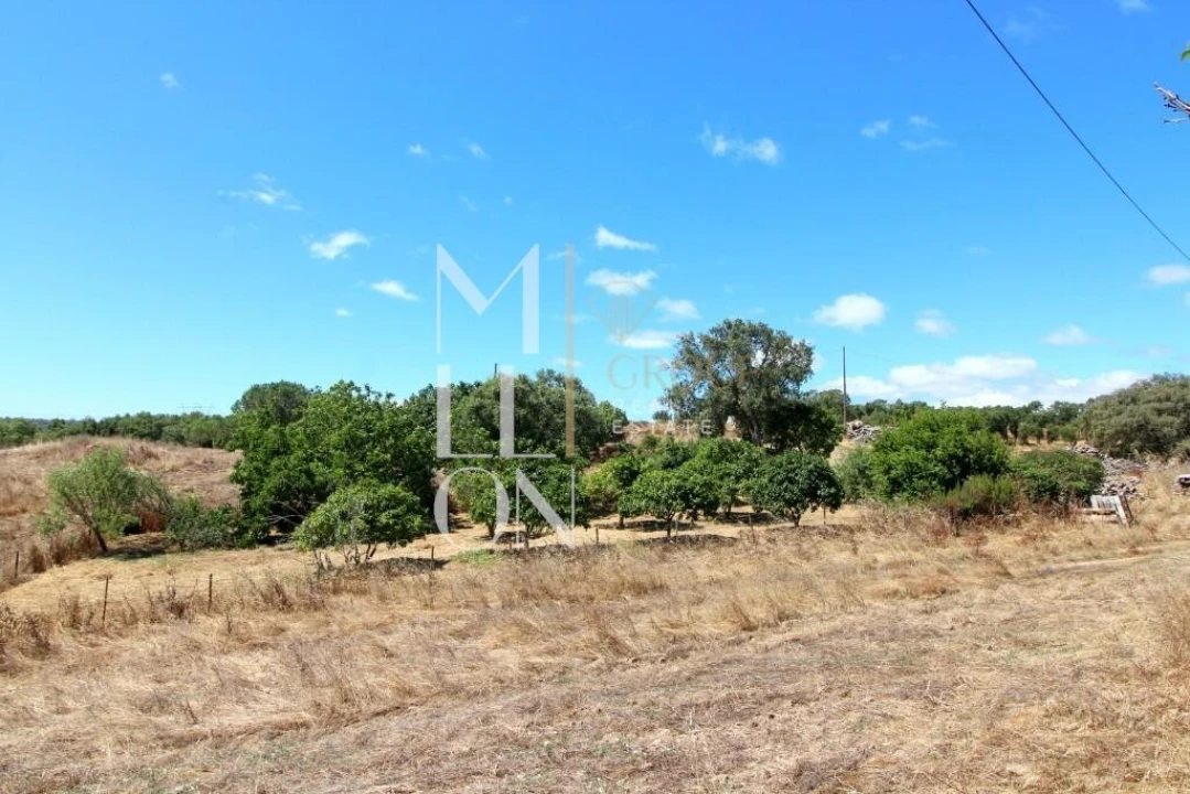Moradia T4 para Venda em Grândola e Santa Margarida da Serra Foto 36