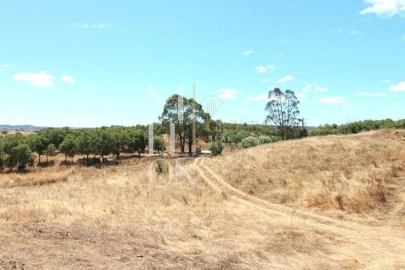 Moradia T4 para Venda em Grândola e Santa Margarida da Serra