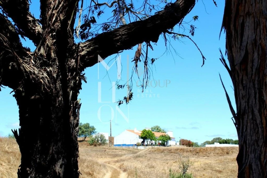 Moradia T4 para Venda em Grândola e Santa Margarida da Serra Foto 40