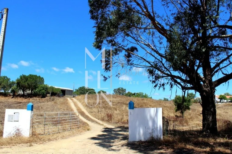 Moradia T4 para Venda em Grândola e Santa Margarida da Serra Foto 39