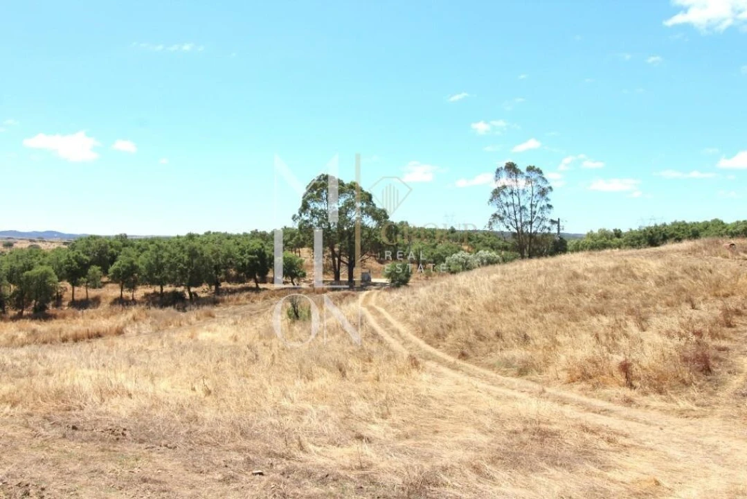 Moradia T4 para Venda em Grândola e Santa Margarida da Serra Foto 37