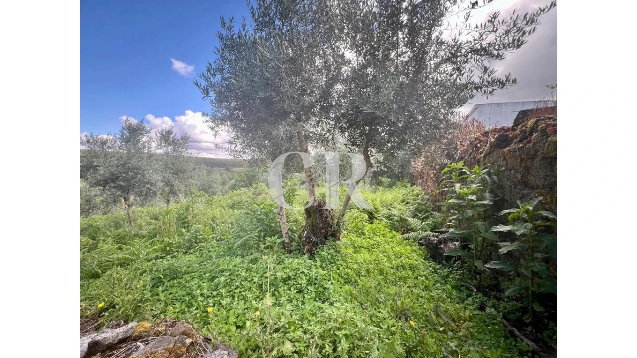 Moradia T4 para Venda em Graça Foto 8