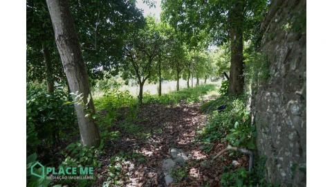 Terreno para Venda em Nogueiró e Tenões