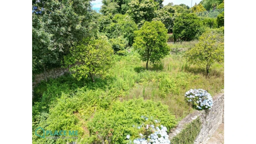 Terreno para Venda em Nogueiró e Tenões Foto 6
