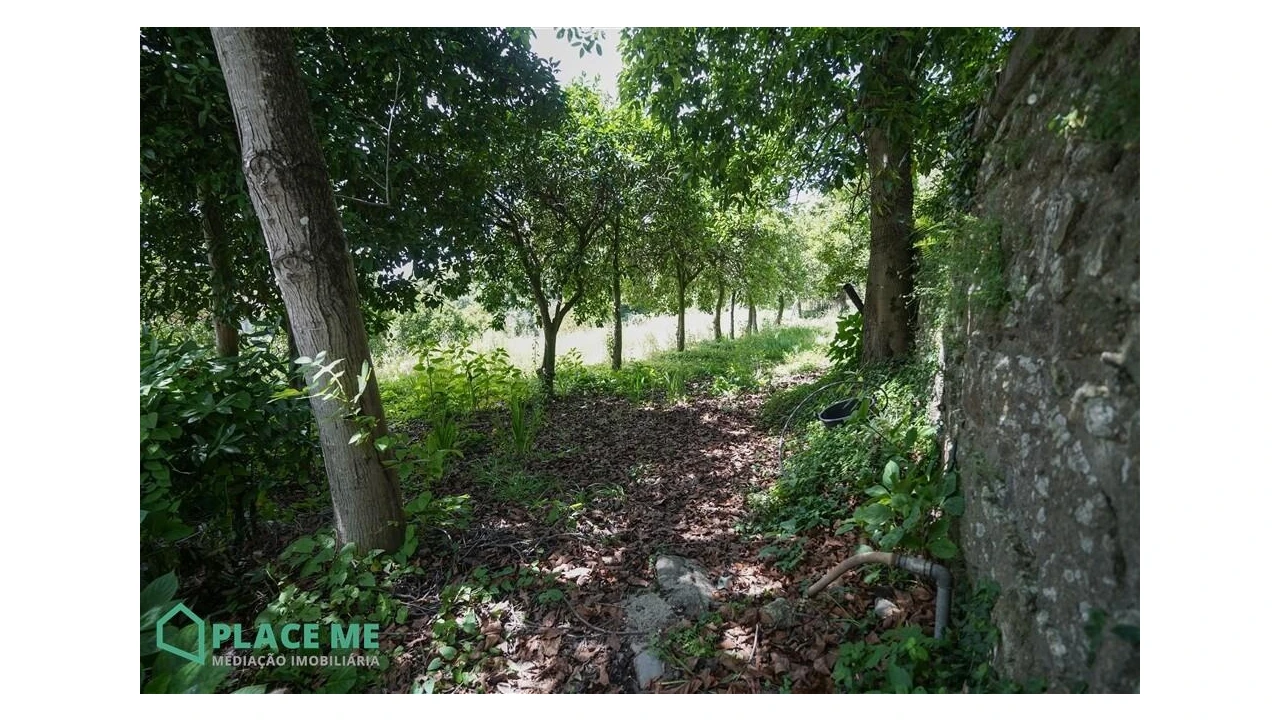 Terreno para Venda em Nogueiró e Tenões Foto 16