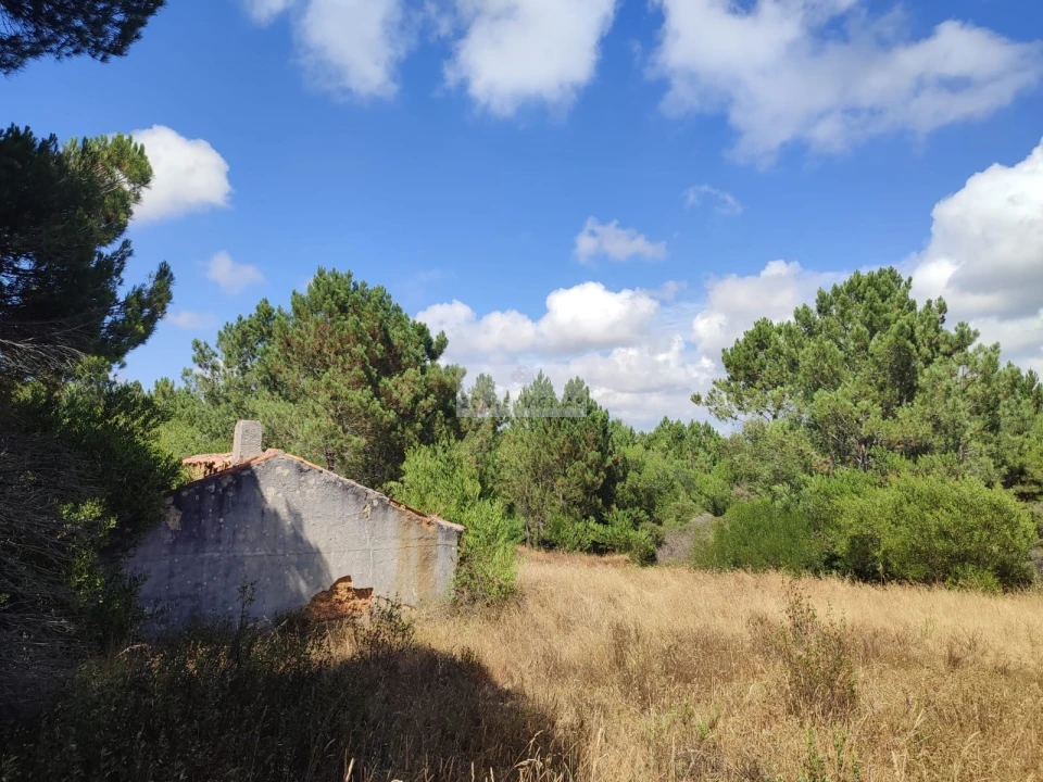 Quinta para Venda em Aljezur Foto 21