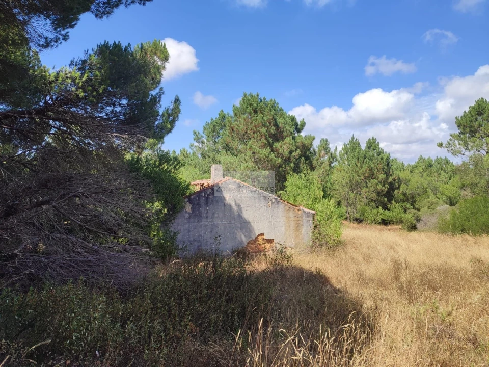 Quinta para Venda em Aljezur Foto 1