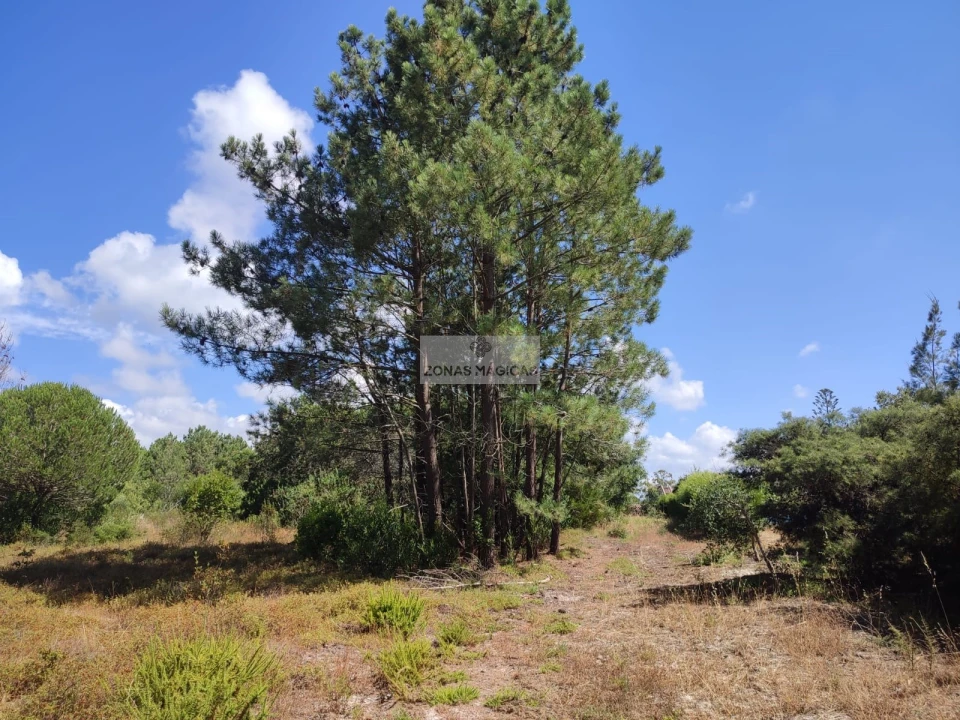 Quinta para Venda em Aljezur Foto 22