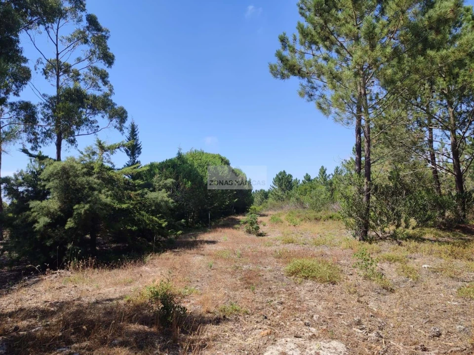 Quinta para Venda em Aljezur Foto 23