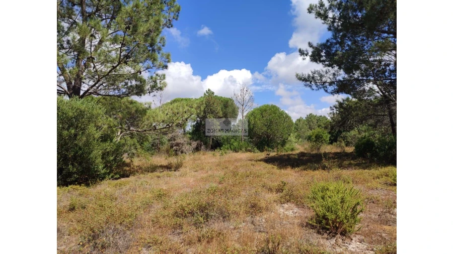 Quinta para Venda em Aljezur Foto 7