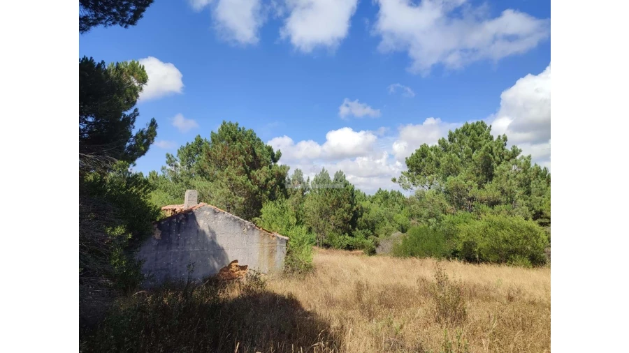 Quinta para Venda em Aljezur Foto 21