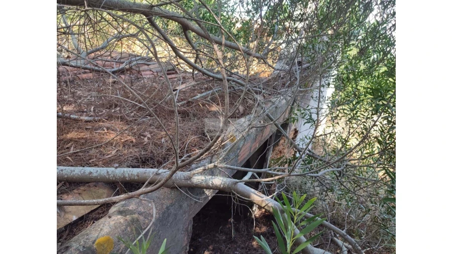 Quinta para Venda em Aljezur Foto 19