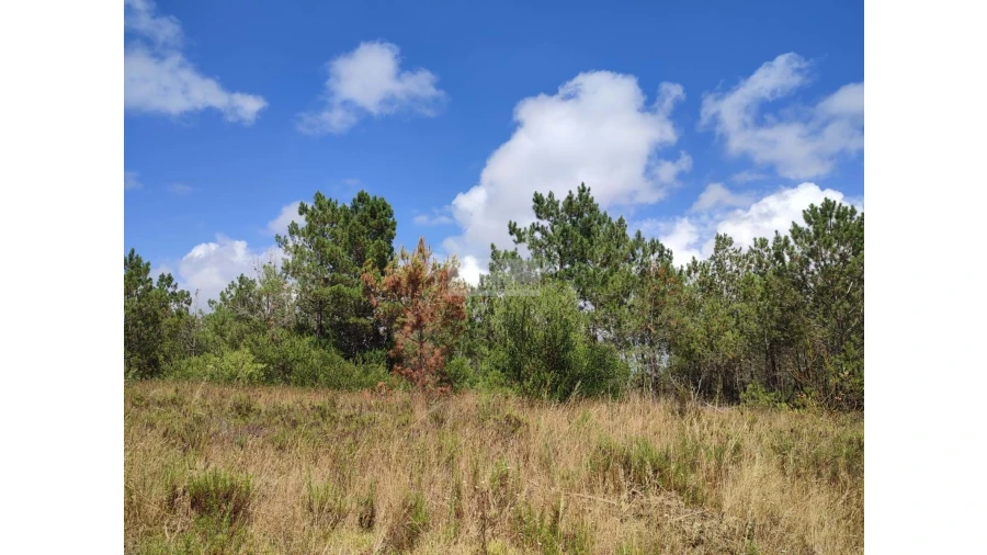 Quinta para Venda em Aljezur Foto 18