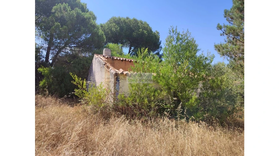 Quinta para Venda em Aljezur Foto 4