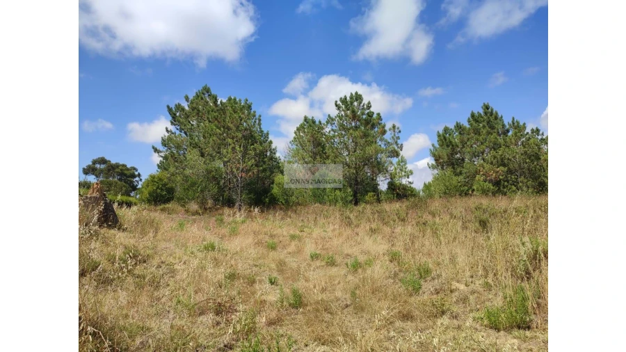 Quinta para Venda em Aljezur Foto 15