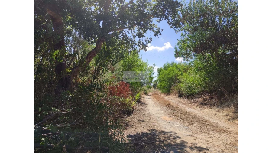 Quinta para Venda em Aljezur Foto 24