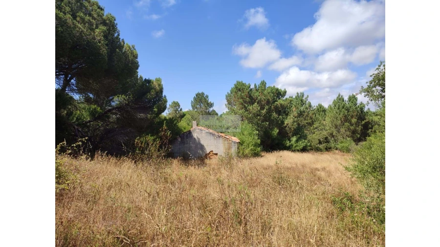 Quinta para Venda em Aljezur Foto 2