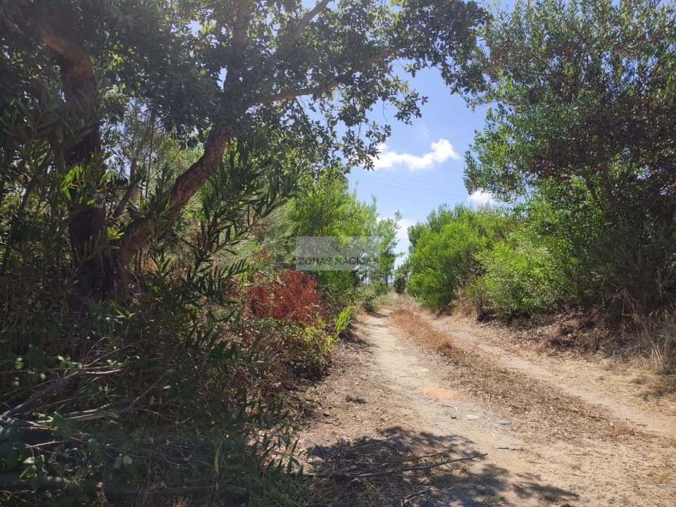 Quinta para Venda em Aljezur Foto 24